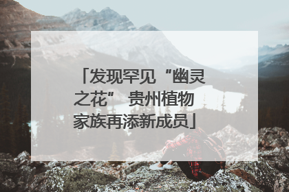发现罕见“幽灵之花” 贵州植物家族再添新成员